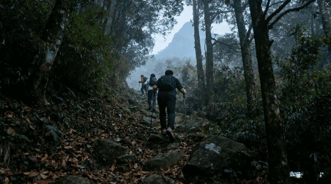 芒果加速器永久免费功能全面介绍
